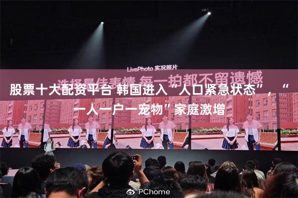 股票十大配资平台 韩国进入“人口紧急状态”,“一人一户一宠物”家庭激增