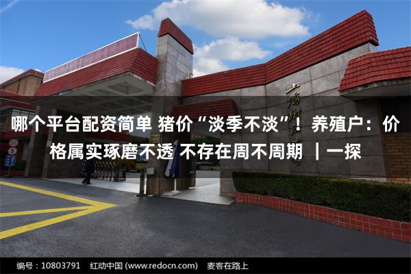 哪个平台配资简单 猪价“淡季不淡”!养殖户:价格属实琢磨不透 不存在周不周期 |一探