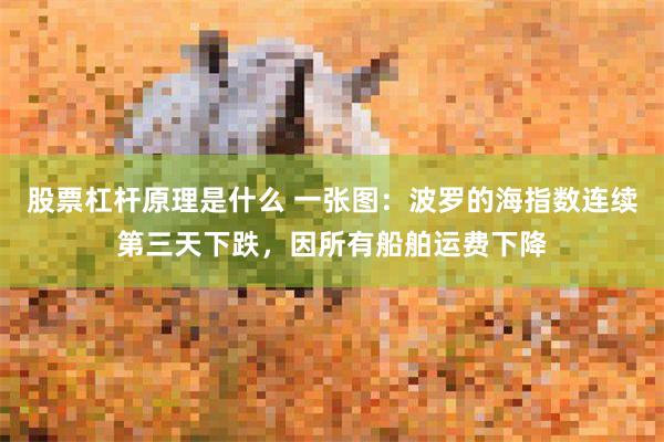 股票杠杆原理是什么 一张图:波罗的海指数连续第三天下跌,因所有船舶运费下降