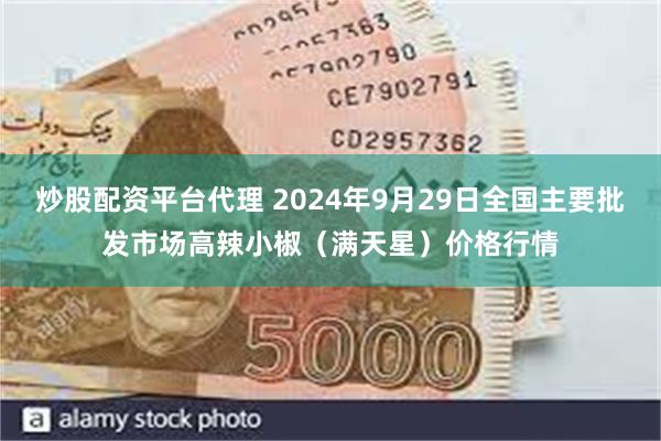 炒股配资平台代理 2024年9月29日全国主要批发市场高辣小椒(满天星)价格行情