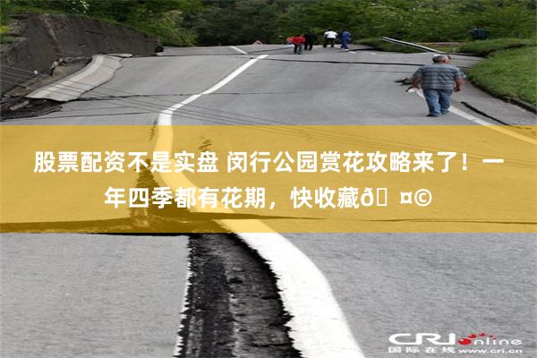 股票配资不是实盘 闵行公园赏花攻略来了!一年四季都有花期,快收藏🤩
