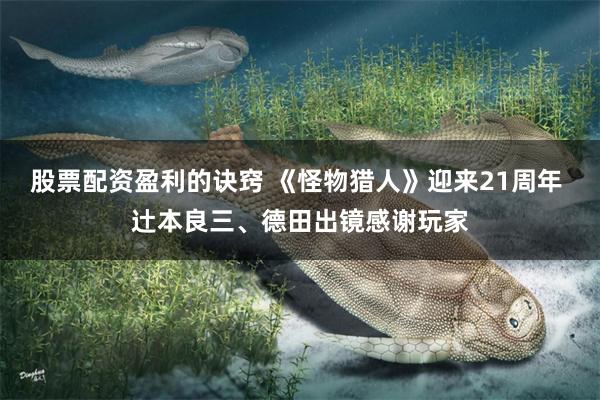 股票配资盈利的诀窍 《怪物猎人》迎来21周年 辻本良三、德田出镜感谢玩家