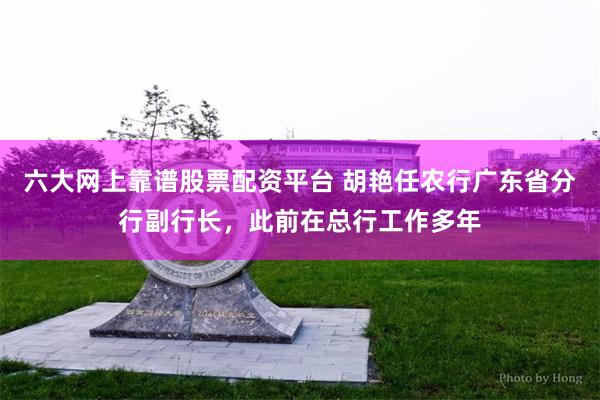 六大网上靠谱股票配资平台 胡艳任农行广东省分行副行长，此前在总行工作多年