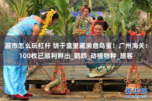 股市怎么玩杠杆 饼干盒里藏濒危鸟蛋!广州海关:100枚已顺利孵出_鹦鹉_动植物种_旅客