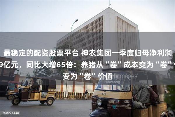 最稳定的配资股票平台 神农集团一季度归母净利润2.29亿元,同比大增65倍:养猪从“卷”成本变为“卷”价值