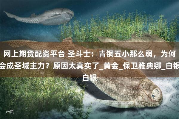 网上期货配资平台 圣斗士:青铜五小那么弱,为何会成圣域主力?原因太真实了_黄金_保卫雅典娜_白银
