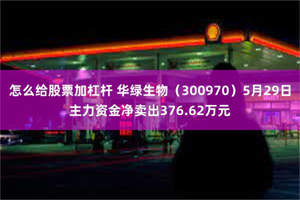怎么给股票加杠杆 华绿生物（300970）5月29日主力资金净卖出376.62万元