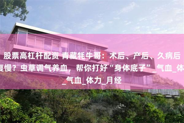 股票高杠杆配资 青藏牦牛哥:术后、产后、久病后总是恢复慢?虫草调气养血,帮你打好“身体底子”_气血_体力_月经
