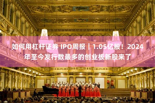 如何用杠杆证券 IPO周报|1.05亿股!2024年至今发行数最多的创业板新股来了
