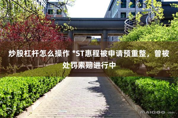炒股杠杆怎么操作 *ST惠程被申请预重整,曾被处罚索赔进行中
