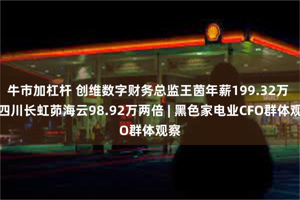 牛市加杠杆 创维数字财务总监王茵年薪199.32万 是四川长虹茆海云98.92万两倍 | 黑色家电业CFO群体观察