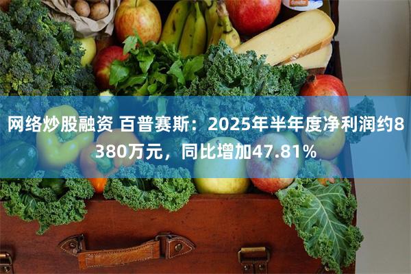 网络炒股融资 百普赛斯：2025年半年度净利润约8380万元，同比增加47.81%