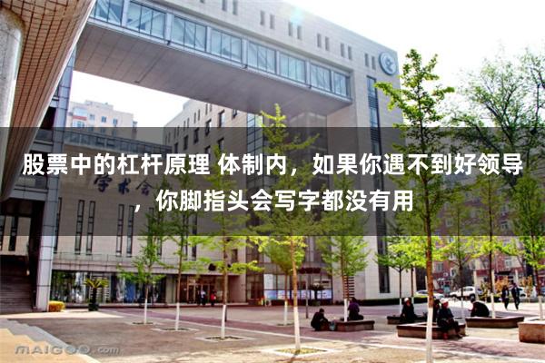 股票中的杠杆原理 体制内,如果你遇不到好领导,你脚指头会写字都没有用